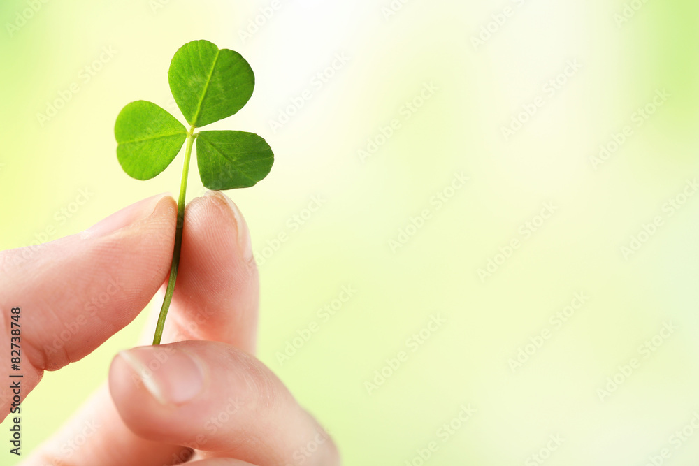 Female hand holding green clover leaf on nature background Female hand holding green clover leaf on nature background