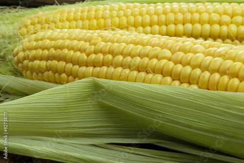 Large, mature, young corn on the wooden background photo