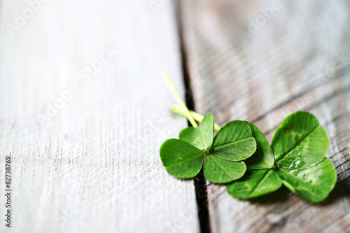 Green clover leaves on wooden background