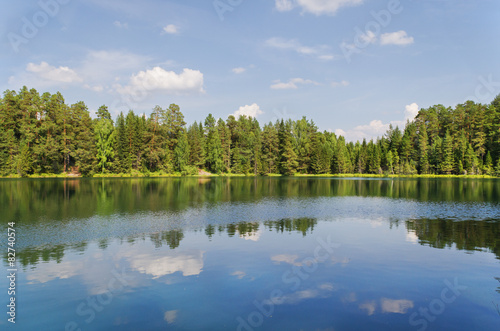 Lake in wood