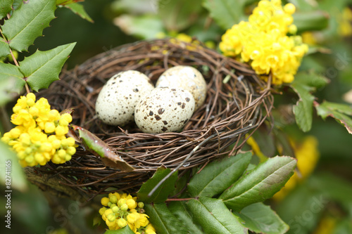 Wicker nest with eggs over green tree background