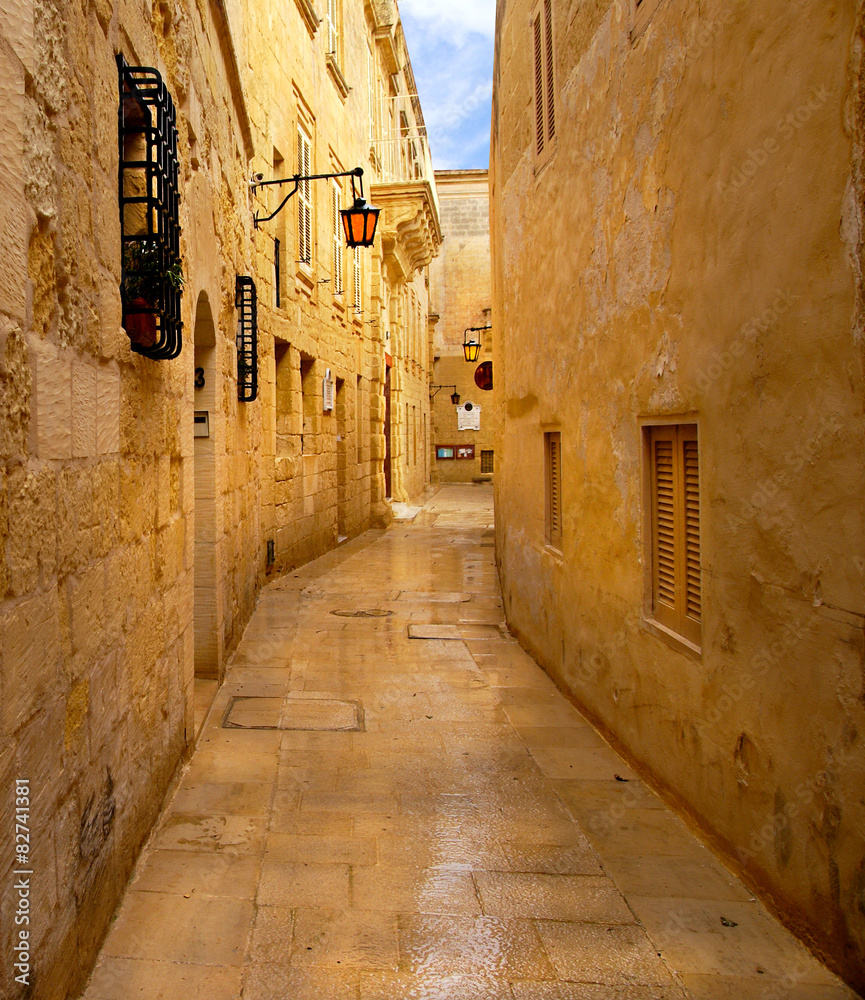 Obraz premium Mdina , a medieval walled town, named Silent City.