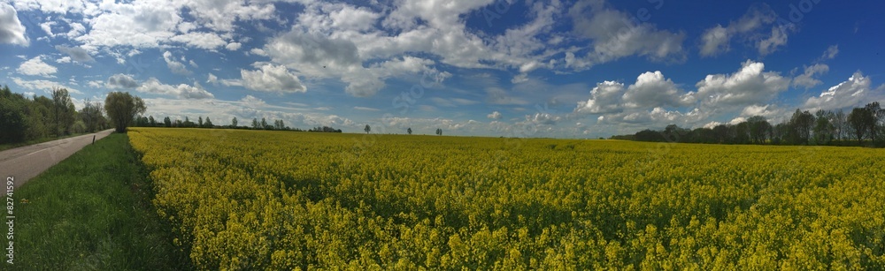 raps feld panorama raps feld panorama