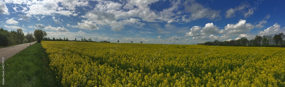 raps feld panorama