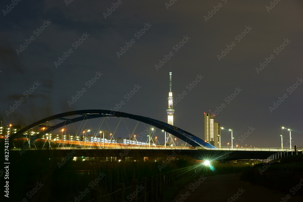 Naklejka premium スカイツリーの夜景