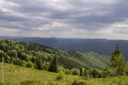 path in green summer mountains with white clouds blue sky © Khrystyna Pochynok