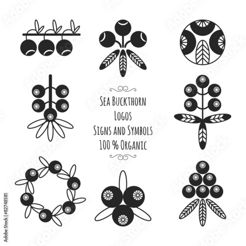 Set of the sea buckthorn logos for natural cosmetic products