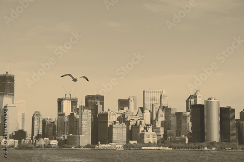 Seagull and South Manhattan