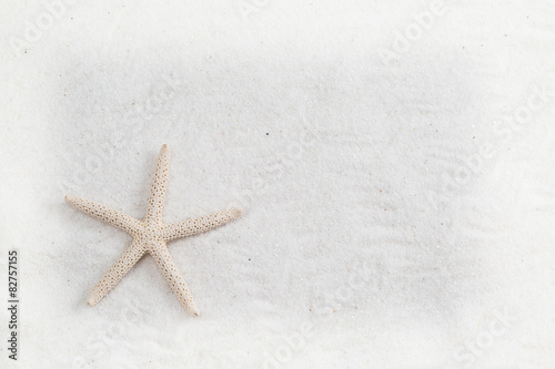 starfish on the white sand - copy space