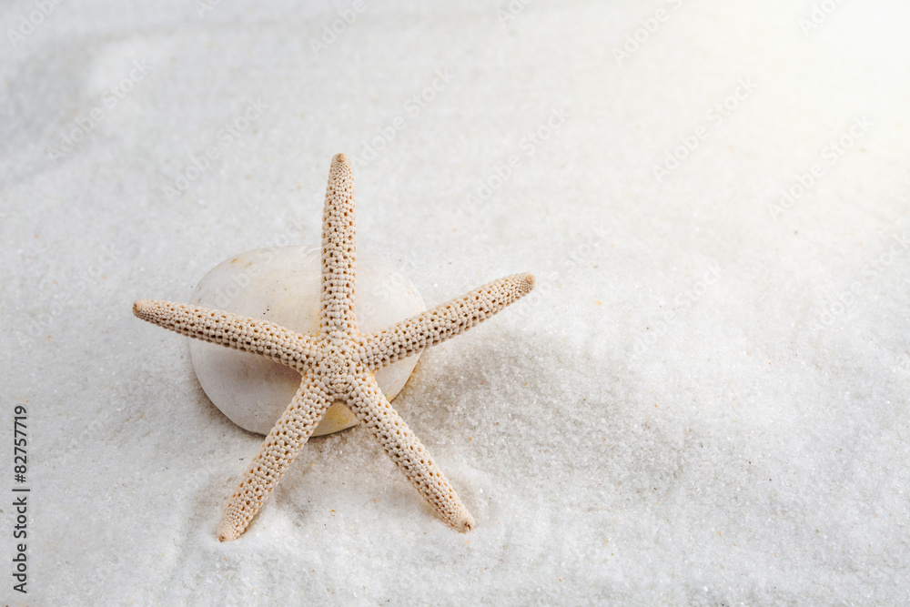 starfish on the white sand - copy space starfish on the white sand - copy space