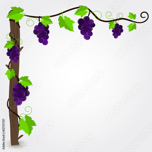 Frame with purple grapes corner decoration