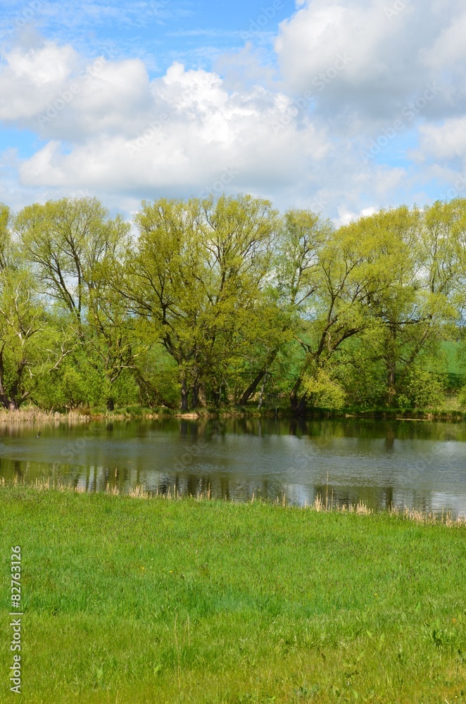 Naturlandschaft mit Teich im Frühjahr Naturlandschaft mit Teich im Frühjahr