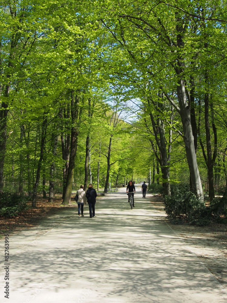 Spaziergänger im Tiergarten, Berlin Spaziergänger im Tiergarten, Berlin
