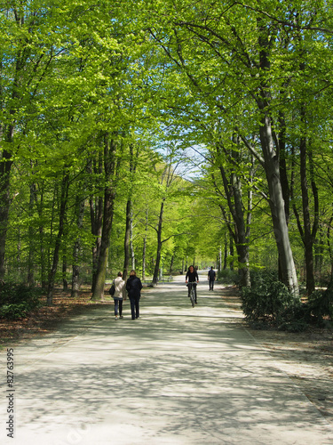 Spaziergänger im Tiergarten, Berlin
