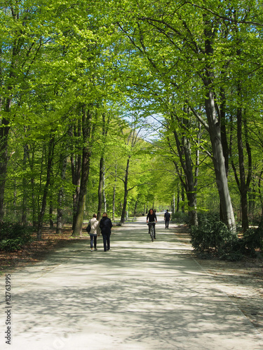 Canvas Print Spaziergänger im Tiergarten, Berlin