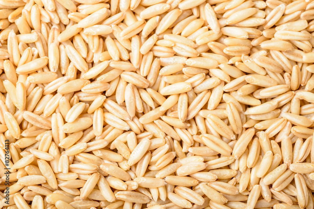 close up of oats close up of oats