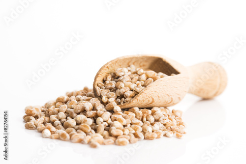 pile of pearl barley isolated on white