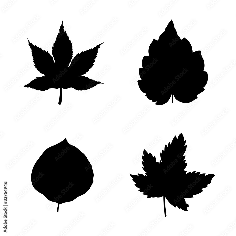 Fototapeta premium Icon set of Leaves