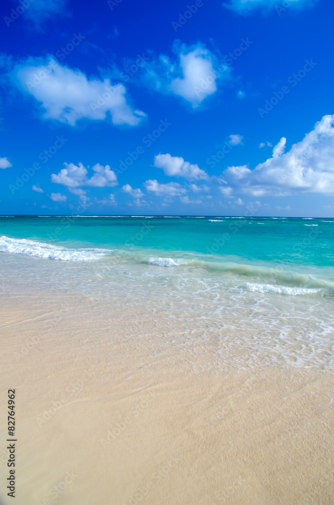 Fototapeta premium sea
