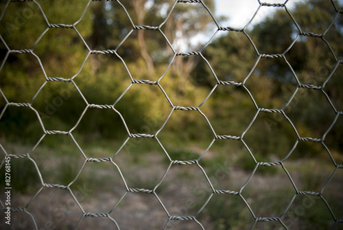 chicken wire fence