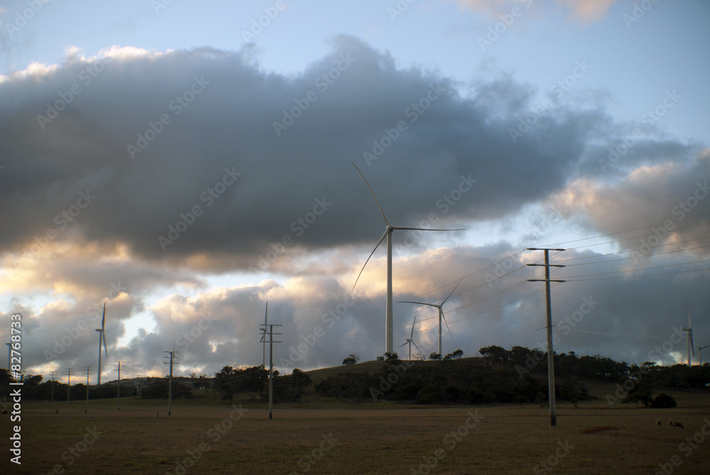 Obraz premium Wind Turbines in a field