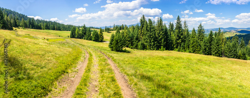 path through meadow to forest in mountain #82768760