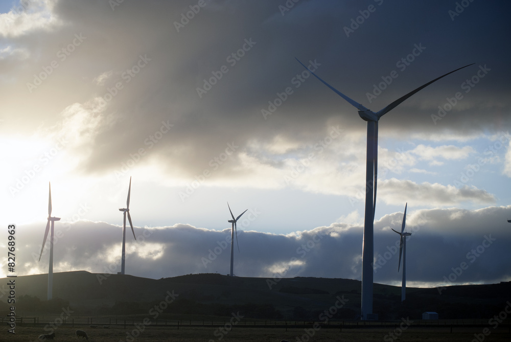 Obraz premium Wind Turbines in a field