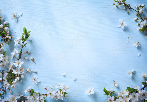 Fototapeta Naklejka Na Ścianę i Meble -  art Spring border background with white blossom