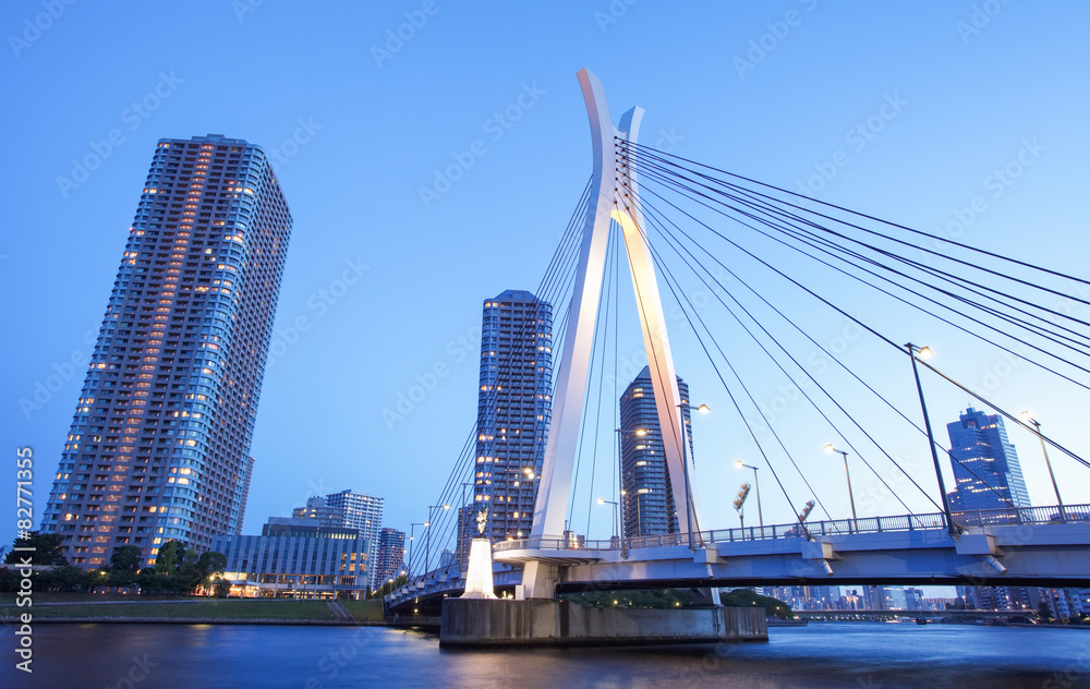 Tokyo city view with highrise building and sumida river 