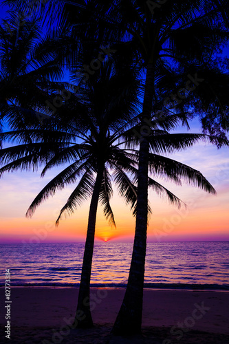 Beautiful sunset.  Sunset over the ocean with tropical palm tree © EwaStudio