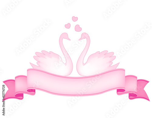 Swan couple