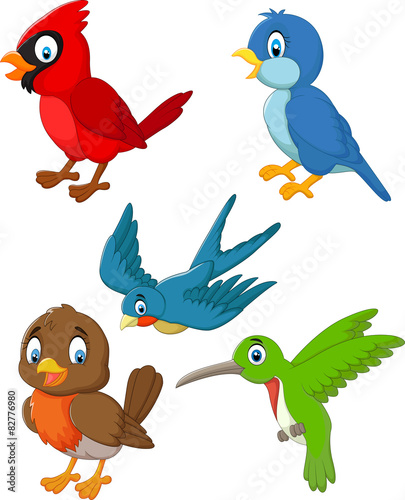 Cartoon birds collection set