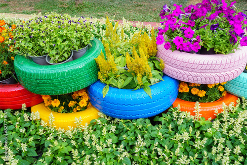Colorful flowers and tire pots
