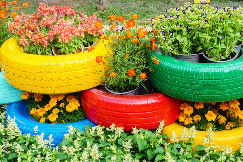 The colorful flowers and tire pots
