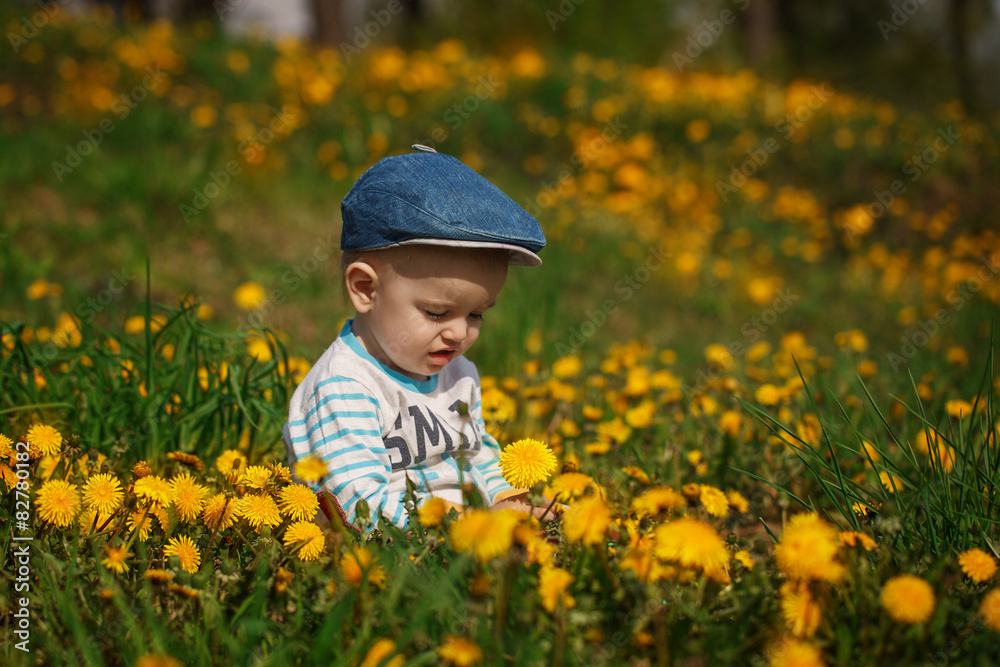 cute little boy with dandelions
