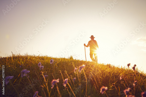 Sommerwiese Gegenlicht Wanderer