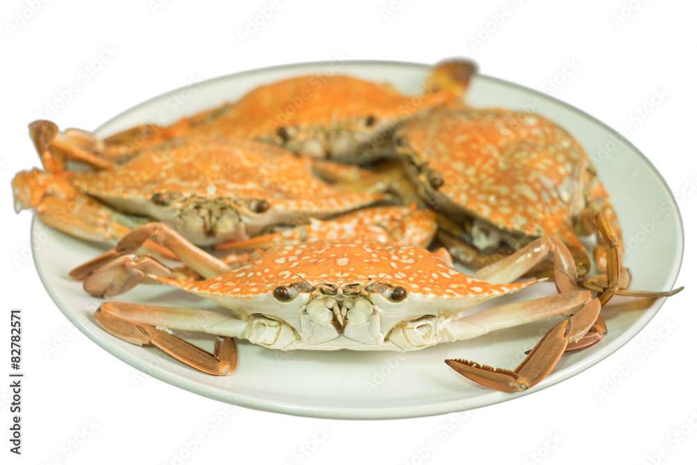 Streamed crab isolated on white background Streamed crab isolated on white background