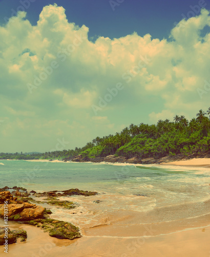 tropical beach - vintage retro style