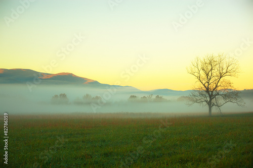 Foggy Landscape in the Great Smoky Mountains National Park