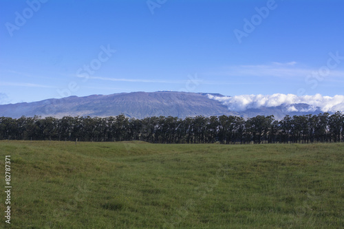 マウナケア山を望む草原牧場 © san724