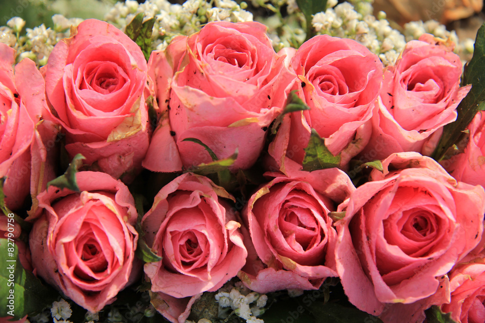 Obraz premium Pink roses and baby breath bouquet
