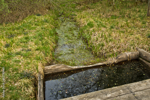 In Russia, the source of the Dnieper river photo