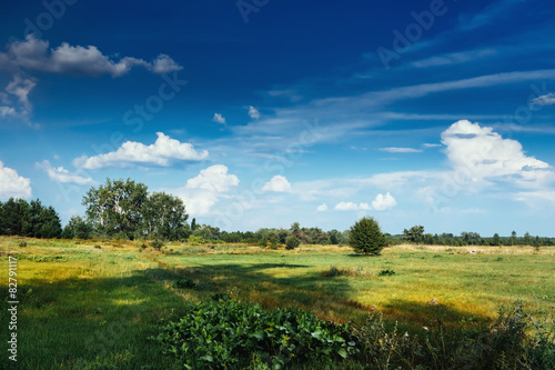 countryside field cloudscape grass landscape