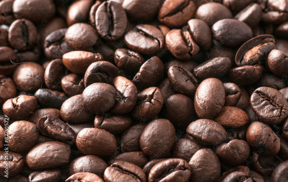 Fototapeta premium Beautiful purple irises blooming in spring time