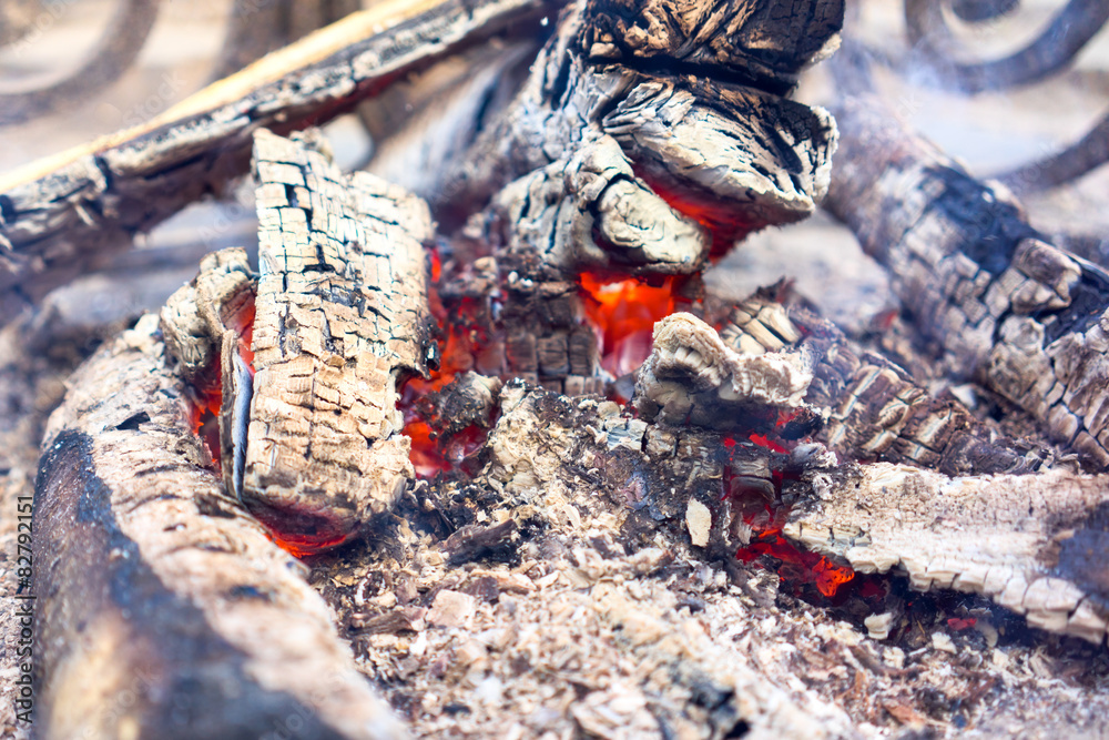 Obraz premium fireplace and flames