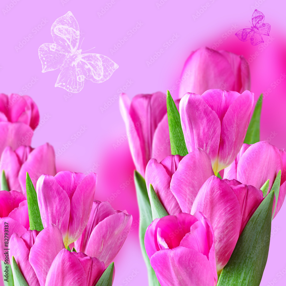 Obraz premium Collage with pink tulips