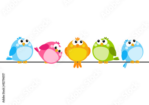 Cute color birds on white