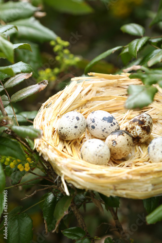 Wicker nest with eggs over green tree background