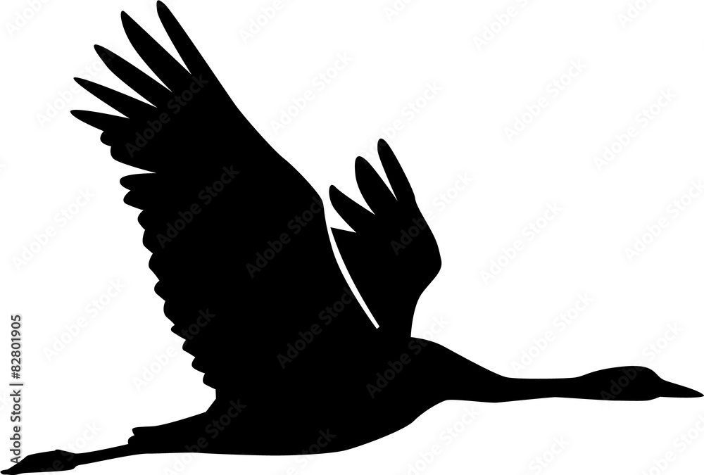 Fototapeta premium Crane Silhouette