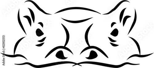 Hippopotamus head swimming